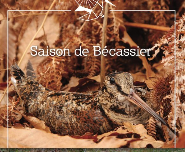 Carnet Saison De Bécassier première édition